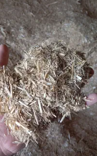 یک تن کاه فروشی در زیرکوه
