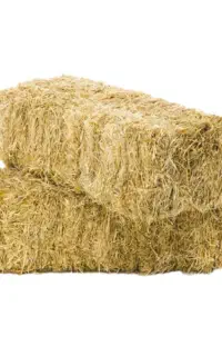 کاه گندم و سیفال یا همان کلش