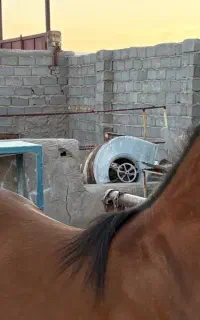 کره جنگستان