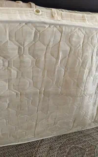 تشک طبی رویال