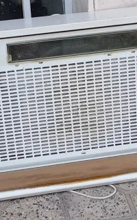 هود