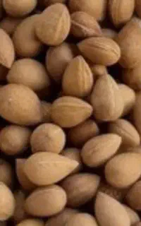 خریدار الوک تلخ پاک کرده