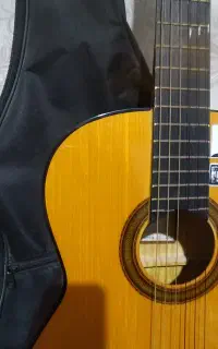 گیتار نو