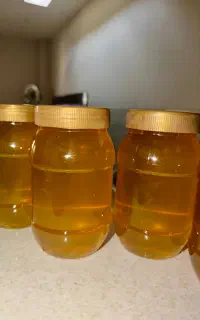 عسل طبیعی کردستان /طلای ناب کوهستان /بسیار محدود