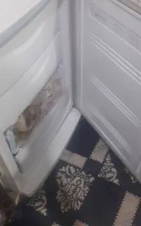 یخچال‌ درحد نو