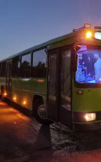 اتوبوس و مینی بوس دربستی