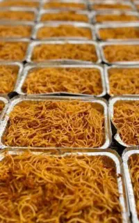 پخت غذای نذری