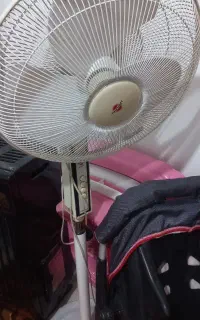 پنکه