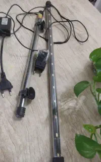مهتابی اکواریوم