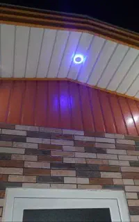 نگهبانی و حراست