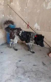 فروش