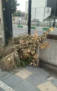 علفتراشی باغبانی وهرس درختان