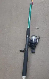 لنسر ماهیگیری اصلی