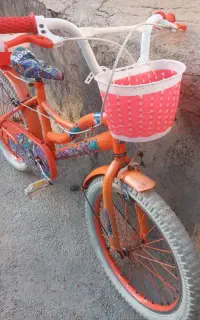 دوچرخه دخترانه ۲۰