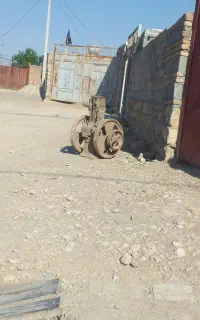 ساینا بهترین از هر نظر