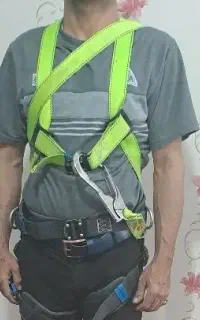 هارنس