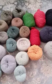 نخ مرینوس و کره