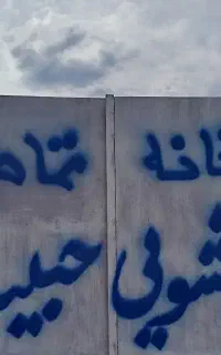 قالیشویی حبیب زاده سهند( بدون کرایه)