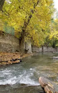 تور خانوادگی  در باغ خانوادگی در دل طبیعت