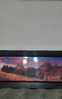 تابلوکاملانو وسالم