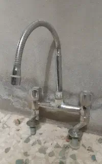 شیر روشور سالم