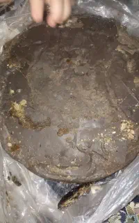 قارا