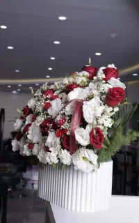 استخدام مژه کار حرفه ای و متعهد