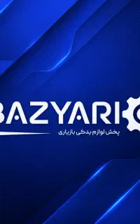 کارشناس وب و اینترنت