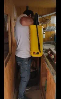 سمپاشی حشرات ساس سوسک کنه کک کل تهران سم پاشی