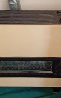 بخاری سالم