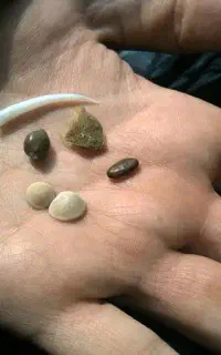 سرکتاب .بخت گشایی .فال .دعا