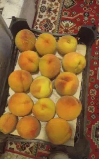 میوه هلو زنجان چایی