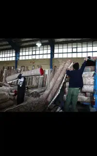 قالیشویی.بزرگ ( فلاح)