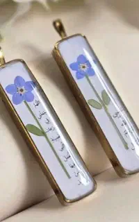 جاسوئچی رزینی
