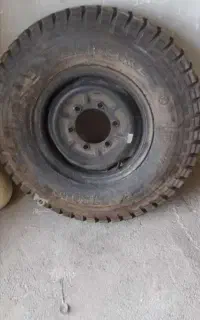 گم شده مژدگانی داره
