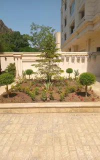 فضای سبز و باغبانی