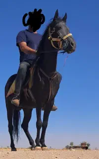 اسب نریان