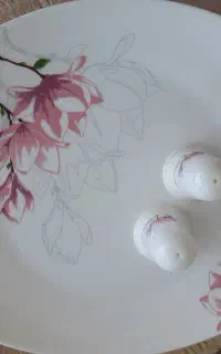 سرویس ارکوپال ۶نفره