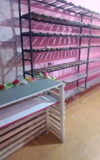 مغازه