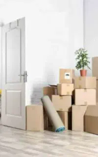 دوتاخانم برای جمع کردن اساس