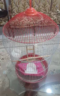 قفس پرنده