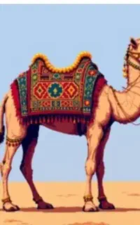 کوهان شتر و روغن درجه یک و تمیز تازه