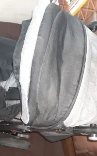 فروش کالسکه دلیجان