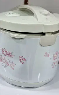 پلوپز برقی 4 نفره و 6 نفره سالم و زدگی