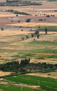 کارگر ساده و وردست بنایی