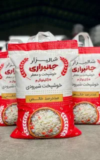 برنج شیرودی  تناژ بالاکیفیت درجه یک طارم هاشمی ندا