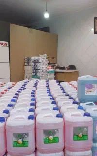 شوینده بهداشتی گرین فمیلی