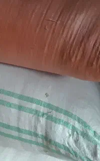 فروش علوفه کسن  سبز و با کیف