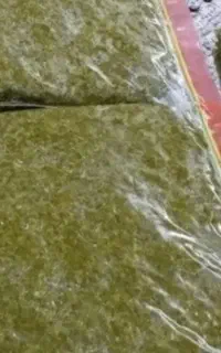 قرمه سبزی تفت داده شده