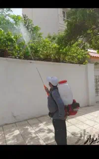 سمپاشی باغبانی سم‌پاشی گل درخت درمشهددرتمام مناطق